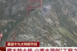 藏木特大橋，山高水深創“工程之最”