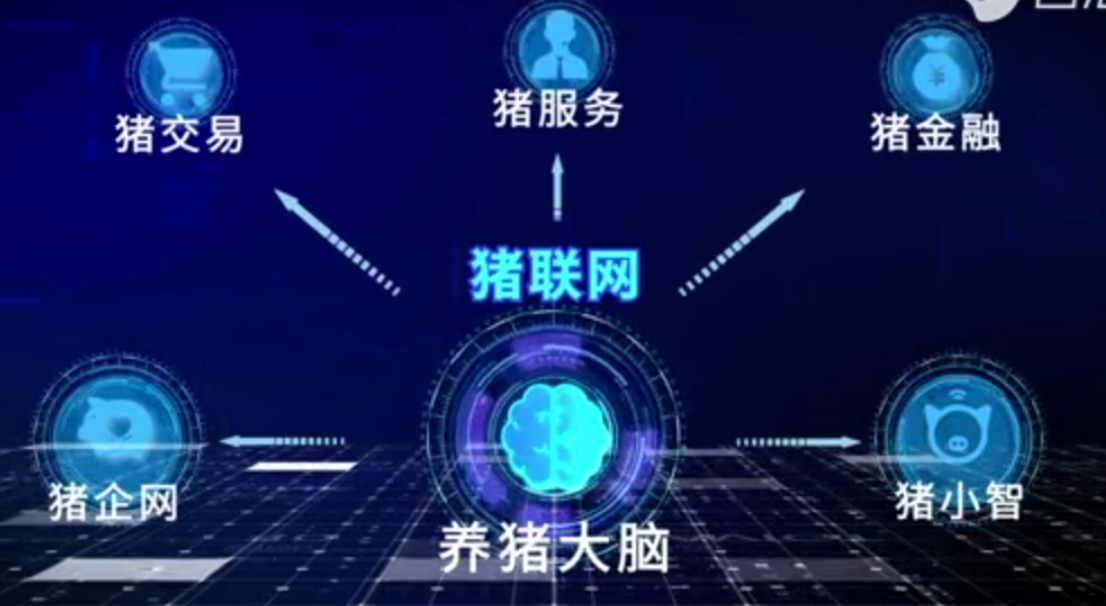 農(nóng)信互聯(lián)豬聯(lián)網(wǎng) 開創(chuàng)數(shù)字化時代<em>的</em>智慧養(yǎng)豬新模式