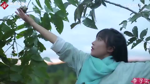 <em>李子</em><em>柒</em>：并非一夜成名，背后的努力付出是一般人想象不到的
