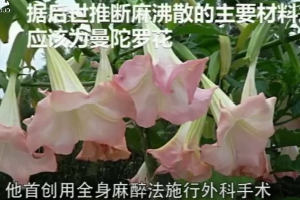 <em>華佗</em>-中醫(yī)外科鼻祖 世界最早麻醉療法使用者