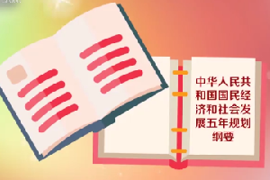 五年規劃：中國<em>國民</em>經濟<em>計劃</em>的重要部分