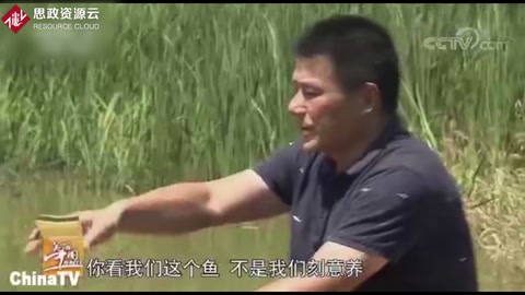 稻魚(yú)共生系統(tǒng)，魚(yú)和稻共同養(yǎng)殖，自然無(wú)公害兩者互利共贏