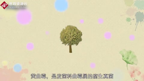 原來黃曲霉長(zhǎng)這樣