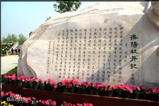洛陽(yáng)牡丹記