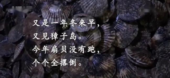 <em>項目</em><em>四</em><em>存貨</em>----<em>存貨</em><em>期末</em><em>計量</em>（<em>獐子</em><em>島</em><em>違規</em><em>案例</em>，<em>合法經營</em><em>重要性</em>）-<em>圖片</em>4