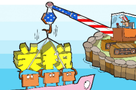 授課圖片—<em>關(guān)稅</em>