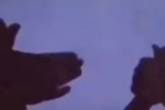 表演游戲—<em>影子</em>戲