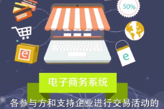 <em>電子商務</em>系統—商業智能的計算機網絡系統