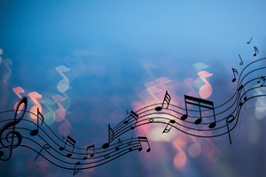 <em>課程標準</em>：<em>音樂</em><em>表演</em>專業《<em>聲樂</em>》<em>課程標準</em>