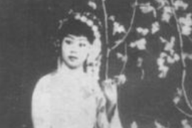 民國評劇演員—<em>李</em>金順
