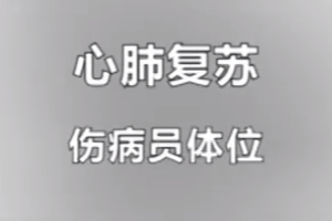 紅十字救護員培訓課程：<em>心肺</em><em>復蘇</em>-傷病員體位