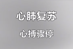 紅十字救護員培訓課程：心肺復蘇-心搏<em>驟</em><em>停</em>