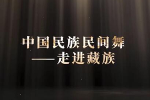 <em>微</em><em>課</em>：早期教育、學(xué)前教育<em>專(zhuān)業(yè)</em>《舞蹈基礎(chǔ)—走進(jìn)<em>藏族</em><em>民間舞</em><em>之</em>顫膝》