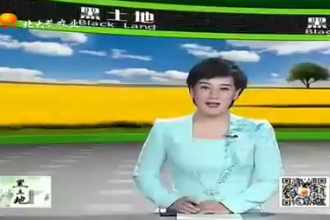 后備母豬如何才能<em>養(yǎng)</em><em>的</em>好？來(lái)聽聽專家提出<em>的</em><em>飼養(yǎng)</em>管理<em>技術(shù)</em><em>要點(diǎn)</em>