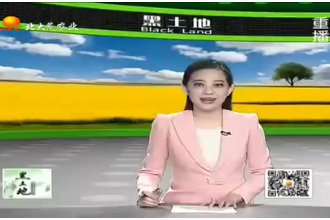 哺乳<em>仔豬</em>怎么養(yǎng)？農(nóng)業(yè)服務(wù)站為您帶來<em>飼養(yǎng)</em>哺乳<em>仔豬</em><em>的</em>技術(shù)要點