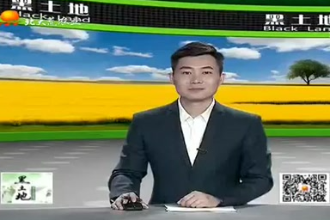 生豬養殖<em>需要</em><em>注意</em>的要點都有<em>哪些</em>？這幾個方面很重要