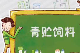 一分鐘了解青貯<em>飼料</em>