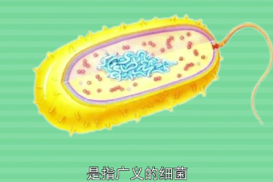 帶您了解原<em>核</em>生物