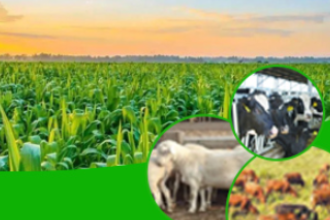 <em>動物</em>科學<em>專業</em>：《畜牧<em>微生物</em>學》<em>課程</em><em>思</em>政大綱