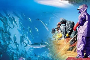 <em>水聲</em><em>工程</em><em>專(zhuān)業(yè)</em>：《聲信號(hào)處理》<em>課程</em><em>思</em><em>政</em><em>案例</em>