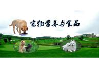 <em>寵物</em><em>養護</em><em>與</em>馴導<em>專業</em>：《<em>寵物</em>營養<em>與</em>食品》<em>課程</em><em>思</em><em>政</em><em>課堂教學</em><em>設計</em>