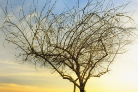 <em>微</em><em>課</em>：殯葬設備維護技術<em>專業</em>《喪葬<em>禮儀</em>》
