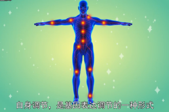 自身<em>調節</em>—基因表達<em>調節</em>形式