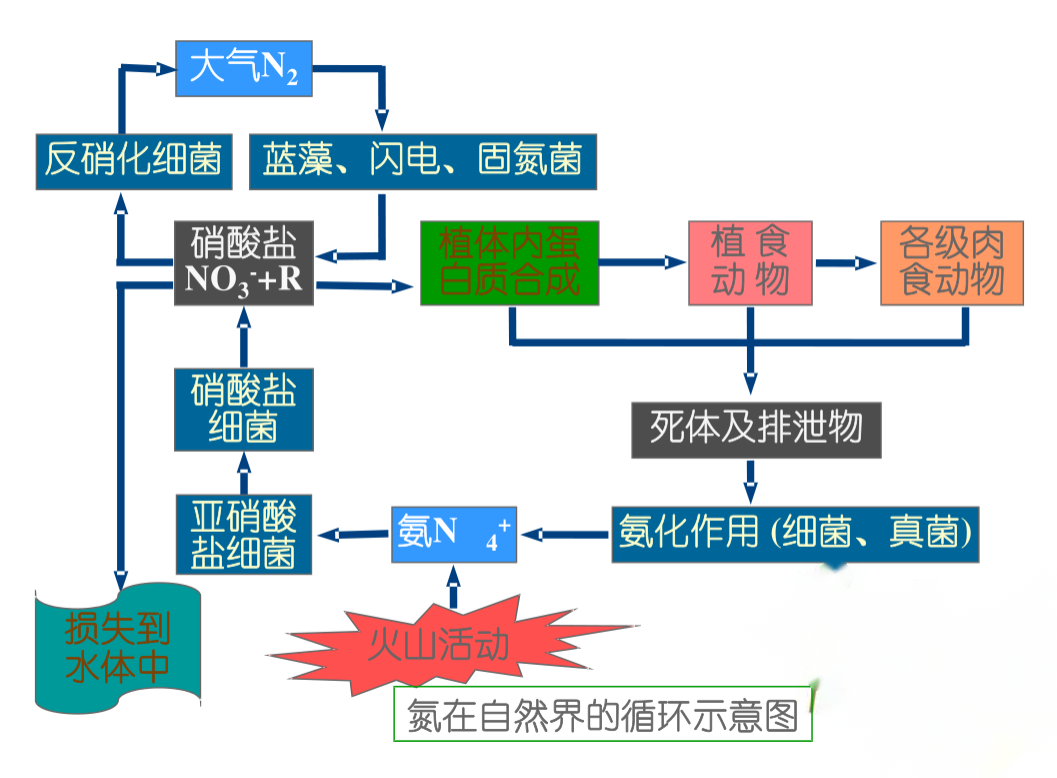 氮在自然界的<em>循環</em>示意圖