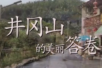 <em>井岡山</em>，煥發(fā)高質(zhì)量發(fā)展的光彩