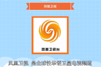 鳳凰衛視—全球性華語衛星電視頻道