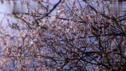 大力培育和<em>弘揚</em><em>社會主義</em><em>核心</em><em>價值觀</em>