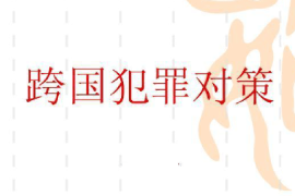 <em>課件</em>：<em>涉外</em><em>警務(wù)</em><em>專業(yè)</em>《跨國(guó)犯罪對(duì)策》
