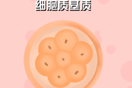 一分鐘了解細胞質(zhì)基質(zhì)（胞漿）