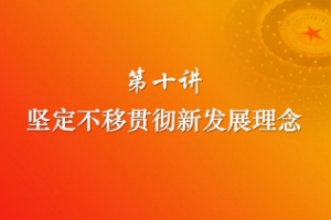 堅定不移貫徹<em>新發展</em><em>理念</em>