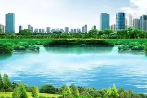 風(fēng)景園林專業(yè)：《風(fēng)景園林生態(tài)學(xué)基礎(chǔ)—園林植物與物質(zhì)環(huán)境—植物對水的凈化》課程思政案例
