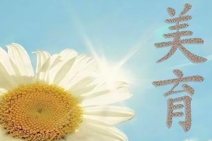 河北水利電力學院美育工作實施方案