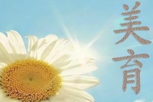 吉林財經大學<em>關于</em>全面加強和改進新時代美育工作<em>實施方案</em>